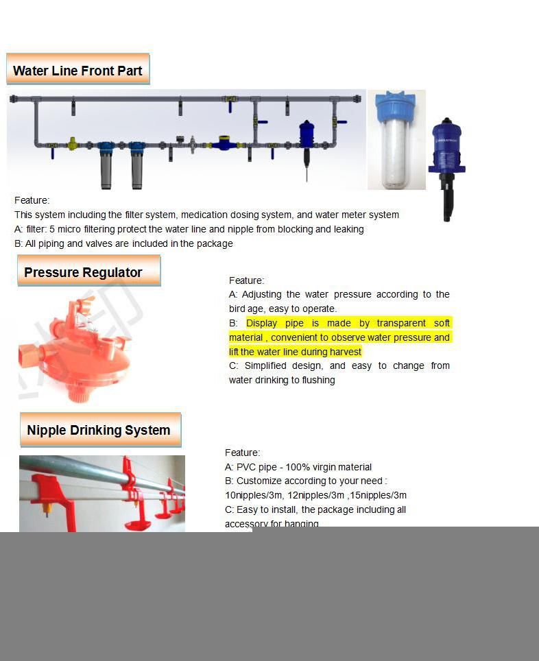 Low-Cost Chick Flat Raising Equipment