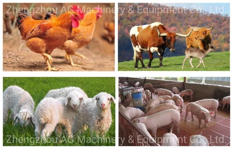 Poultry Feed Pellet Making Machine, Chicken Feed Pellet Mill, Animal Feed Pelletizing Machine, Animal Feed Production Line