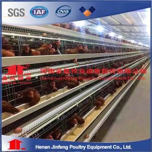 High Sales U-Shaped Steel Chicken Cage for Layers/Broiler/Pullet