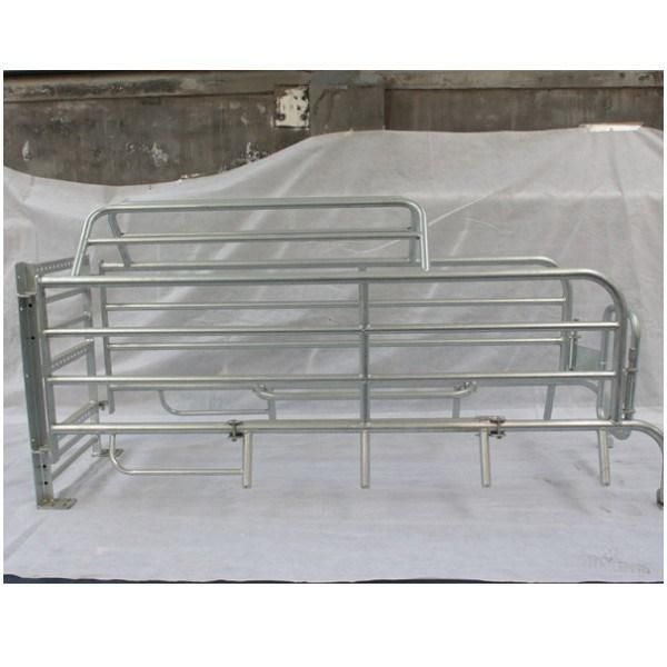 Wholesale Galvanized Used Pig Farrowing Crate for Pig Farming Equipment
