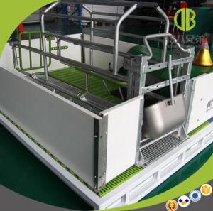 Mechanized Poultry Farming Design Poultry Farm Shed