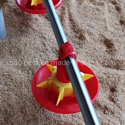 Chicken Broiler Breeder Equipment for Poultry Farm House
