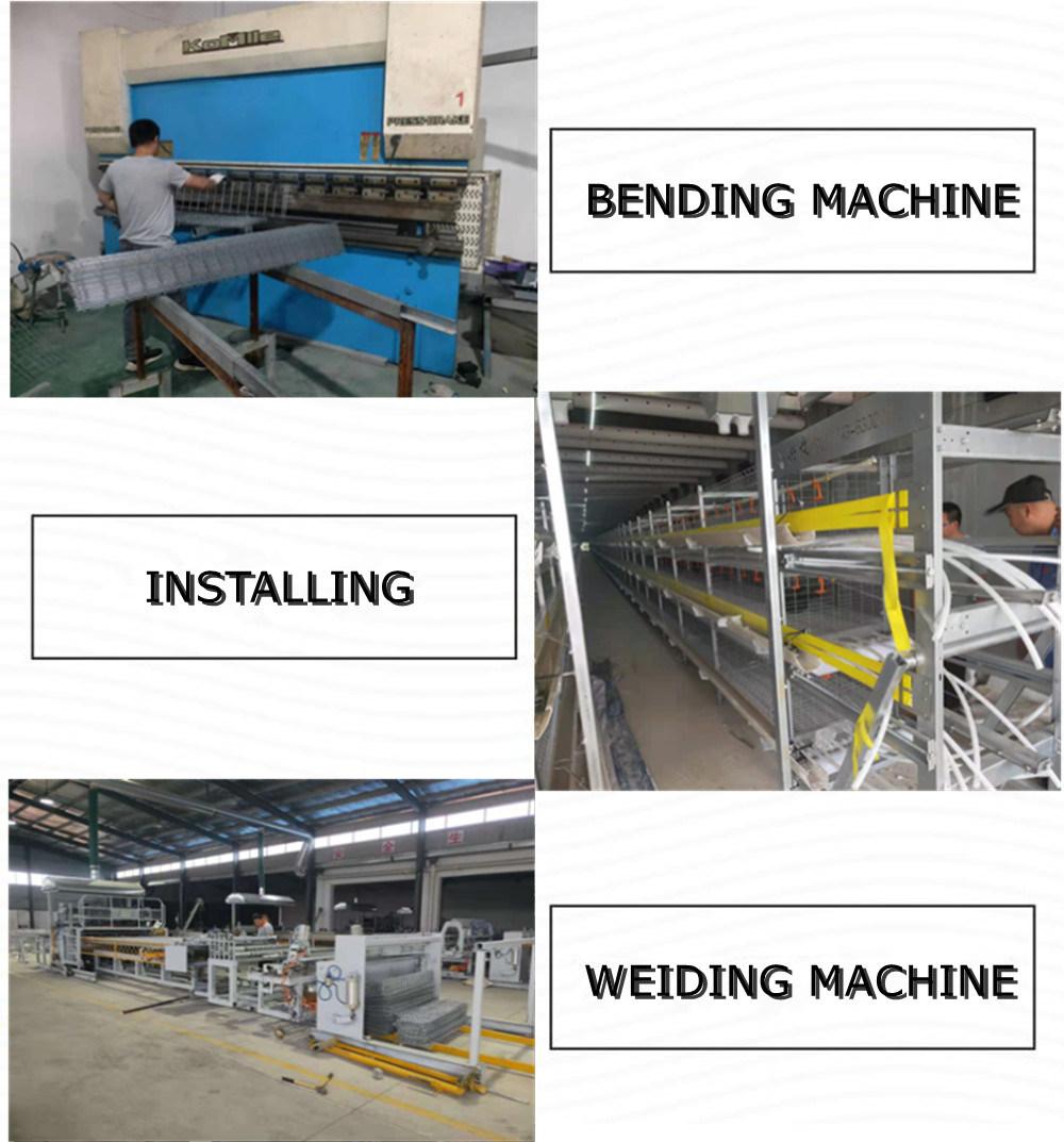 Automatic Poultry Farming Equipment Modernized Cage Layer Chicken Cage