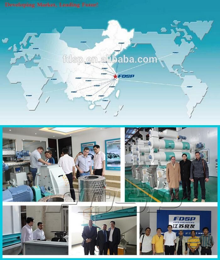Small Feed Set Animal Pellet Feed Production Line for Bird Feed