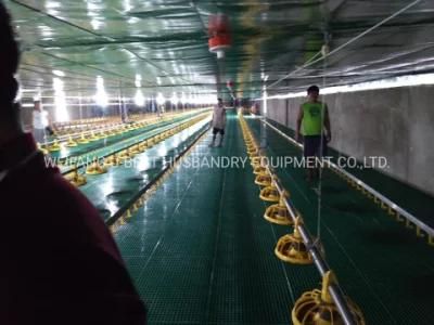 2021 Hot Sale Low Price Automatic Broiler Feed Equipment on Poultry Farm