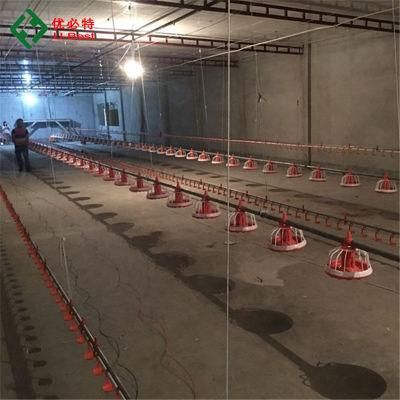 Hot Sale Poultry Farming Equipment in UAE for Chicken Broiler