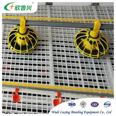 Plastic Floor System Poultry Farming Broiler Raising Equipments for Sale