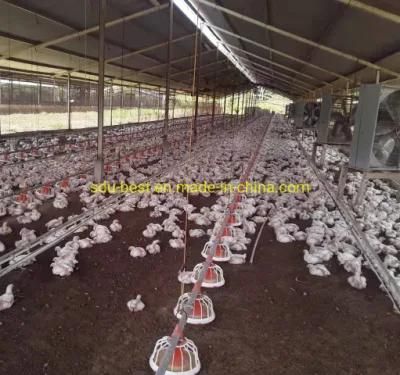 Modern Design Environmental Control Poultry House Chicken Farm Broiler Shed