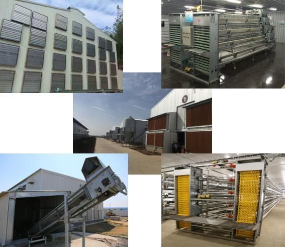 Chicken Farming Equipment Chicken Cage