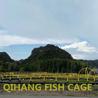 Tilapia Cage Farming in River Lake