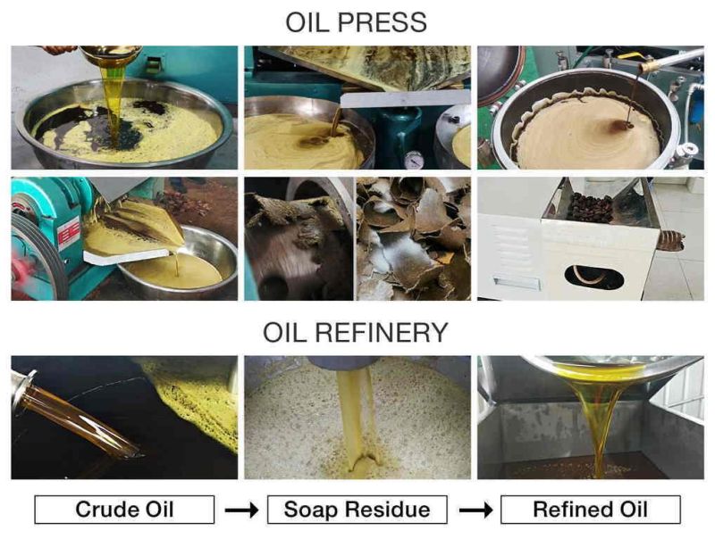 8-12kg/H Cold Press Palm Peanut Soybean Oil Machine Mini