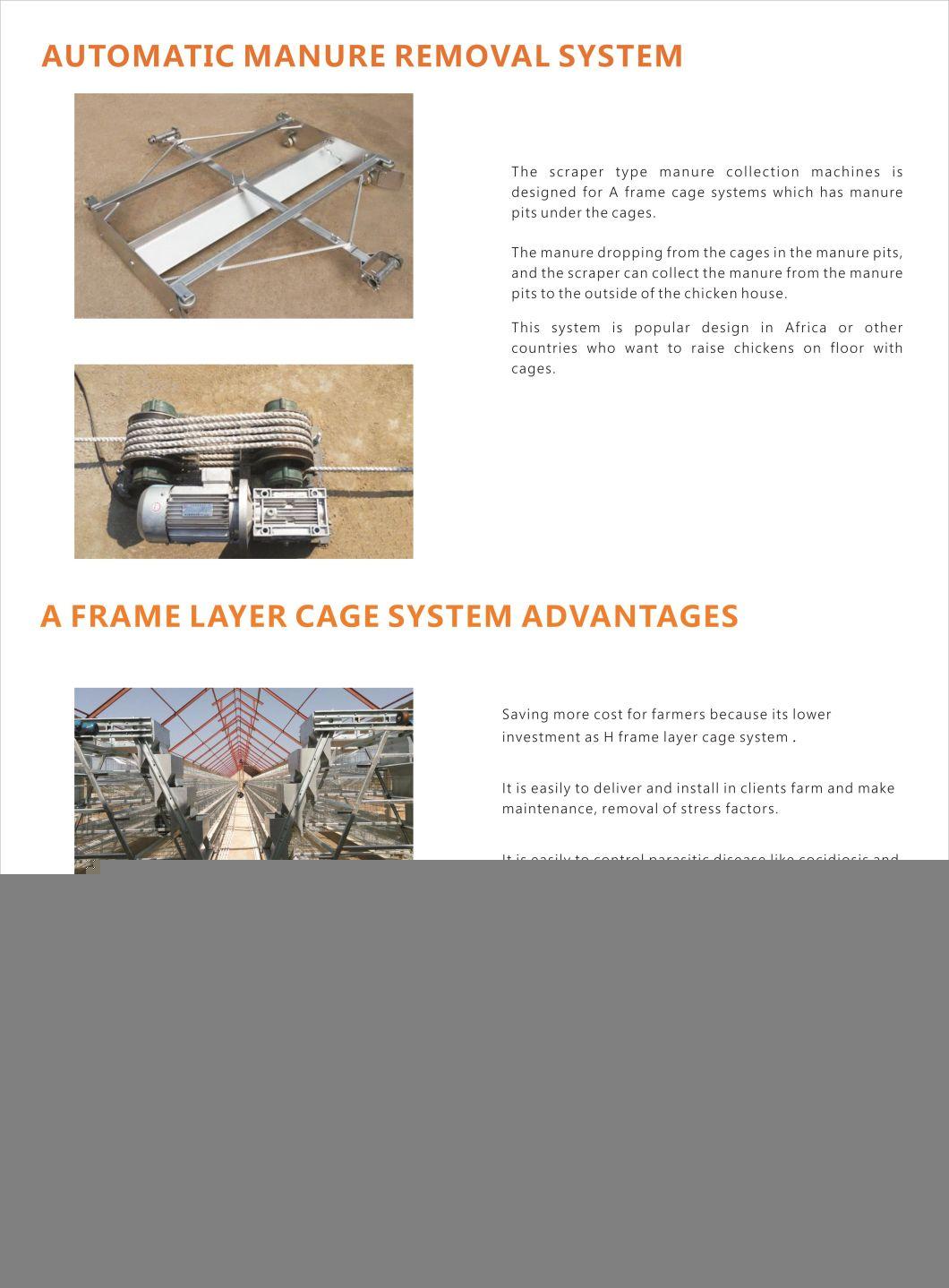 a Type Stable Automatic Chicken Cage Equipment