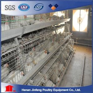 Broiler Poultry Equipment Chicken Cage (JF006)