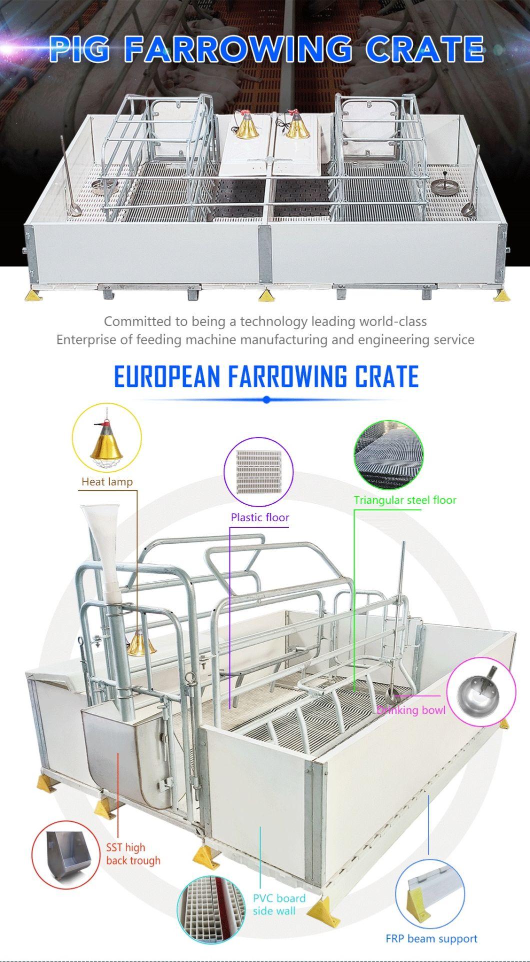 European Style Sow Farrowing Crate Livestock Machinery