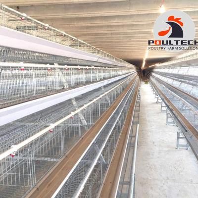 Layout Drawing and Cage Solution Design for Free