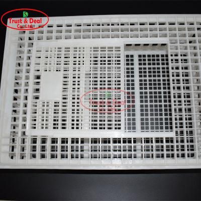 Poultry Transport Cage Crate for Broiler Farm Chicken Farm Duck Farms