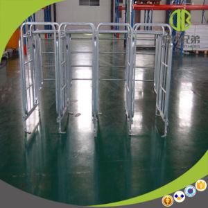Low Price High Quality Pig Individuan Stall, You Deserve It