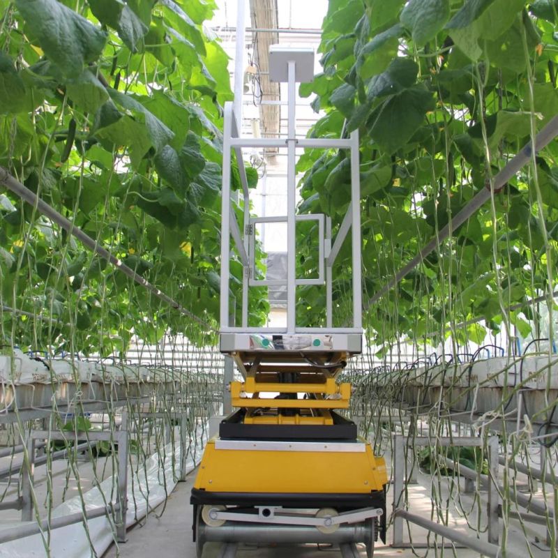 Aerial Platform Self-Propelled Movable Scissor Lift Table Hydraulic Elevator Auto Lift Trolley for Greenhouse Cucumber/Tomato Harvesting/Picking