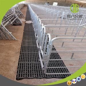 Piggery Gestation Stall for Pigs Hot DIP Galvanized Single Stall for Sows