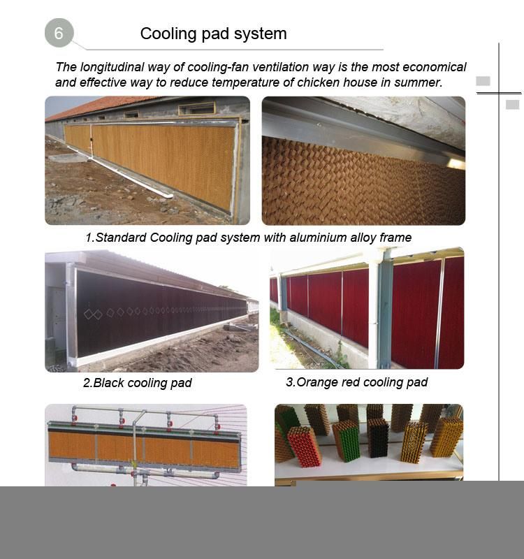 Customized Modern Shed Chicken House Automatic Broiler Breeder Poultry Farming Equipment