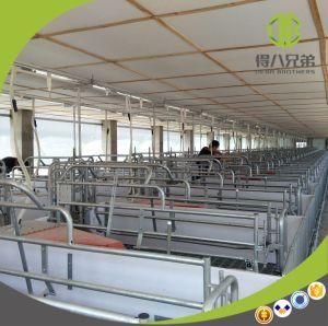 2017 European Style Farrowing Crate for Sow