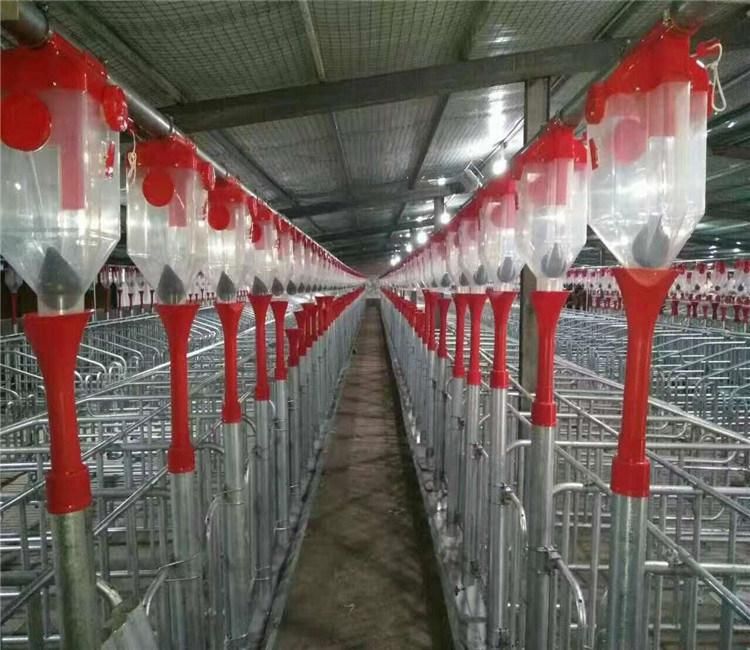 Pigeon Cage Feeding System Feed Dispensers, Automatic Swine Farm Feeding System