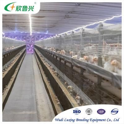 Factory Supply Hot DIP Galvanized Breeding Cage H Type Battery Cage for Broiler