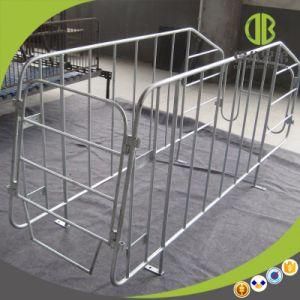 Hot DIP Galvanized Gestation Pig Stall Made in China