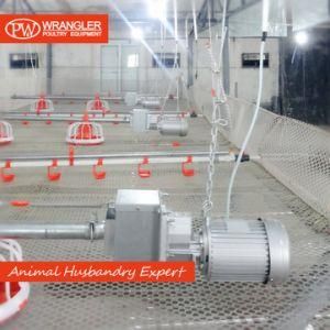 Full Set Automatic Poultry Farm Equipment Pan Feeder for Broiler Chicken Breeding