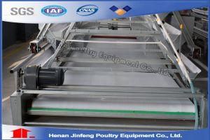 a Type Hot Sell Automatic Chicken Cage System Layer Cage