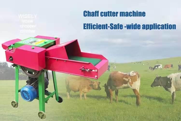 Weiyan Small Livestock Feed Making Ensilage Machine Conveyor Belt Gear Controlled Grass Straw Chopper Mini Chaff Cutter