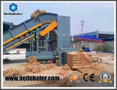 Vertical manual hydraulic hay straw baler