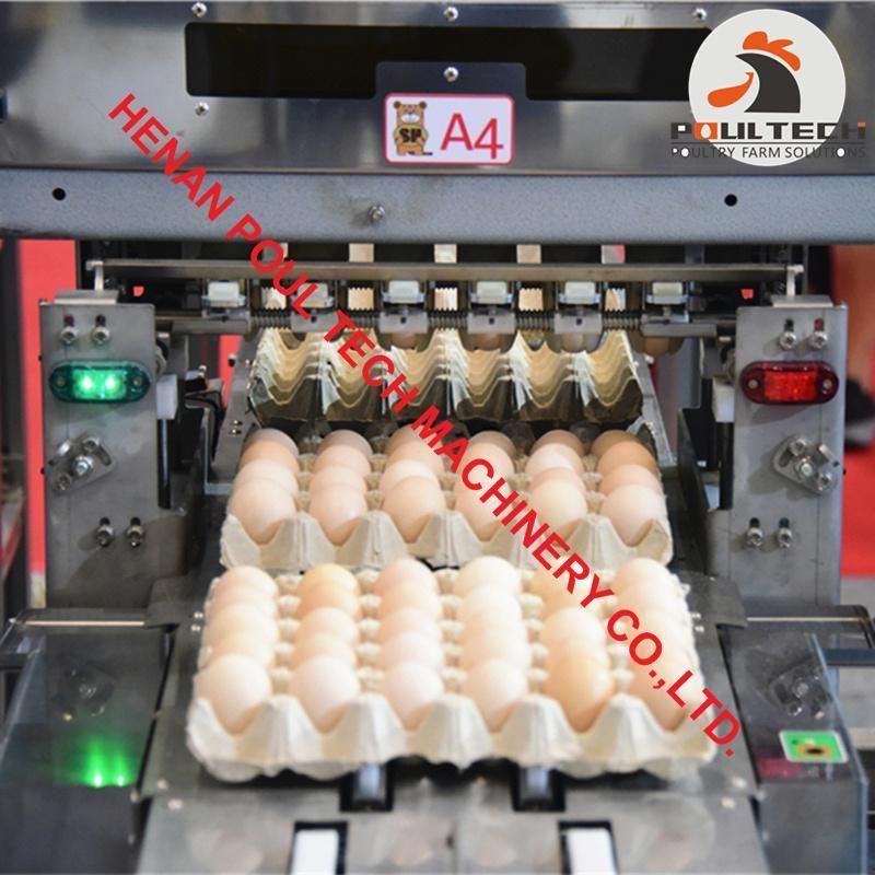 Hen Farming Egg Grading Machine 20000 Eggs/Hour