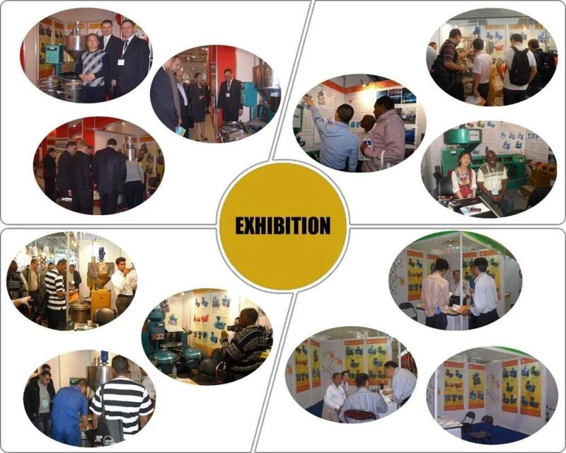 Hot Sell Oils Machinery Crew Oil Press Machine/Oil Making Machine