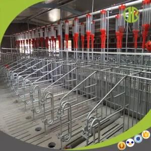 Qingdao Deba Pig Farm Design Equipment Gestation Crates for Sale