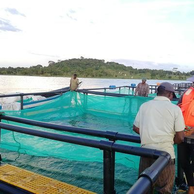 Aquaculture Anti -UV Fish Farming Net Cage Square Floating Cage