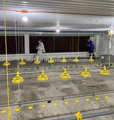 Automatic Poultry Farming Equipment for Broiler Shed
