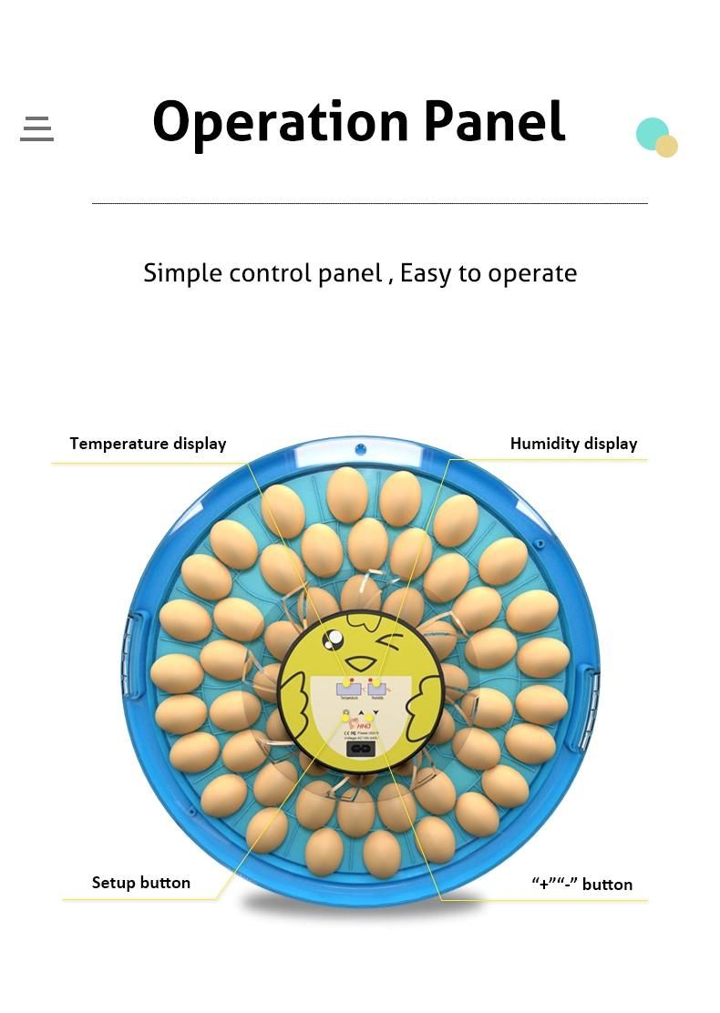 S52 Egg Incubator with Competitive Price