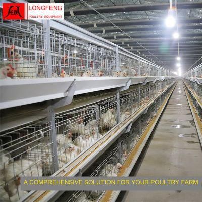 Customized Provide on-Site Installation Instruction Poultry Equipment Broiler Chicken Cage