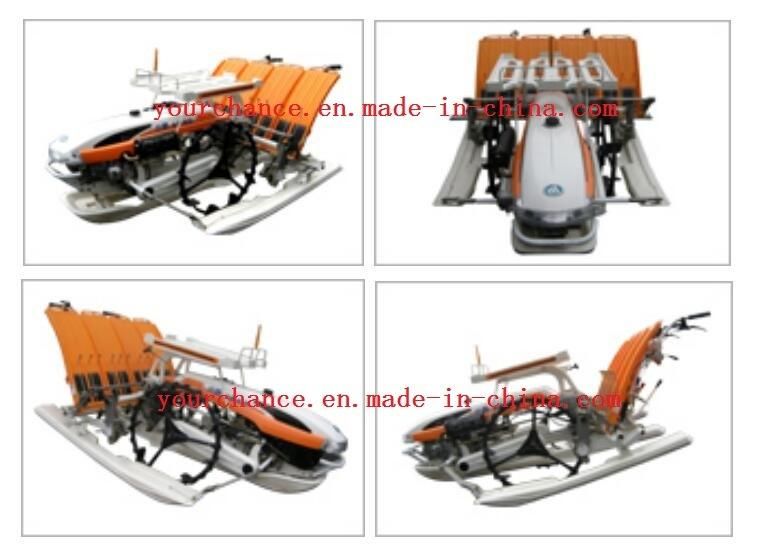 Indonesia Hot Sale 2zx-425 4 Rows 250mm Rows Width Walking Type Rice Transplanter