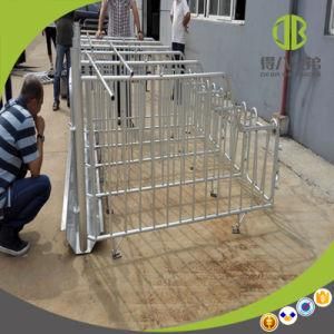 Professional Manufacturer Pig Equipment Pig Gestation Stall or Individual Stall