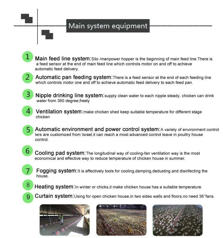 Complete Automatic Chicken House Equipment for Poultry and Broiler Farm Shed