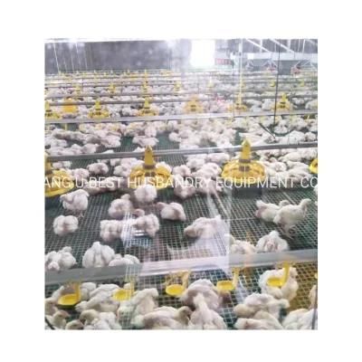 Factory Price Closed Poultry House Chicken Pan Feeding Poultry Farm Equipment