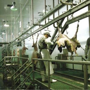Sheep Skinning Machine for Matadero Ovino Goat Slaughter House