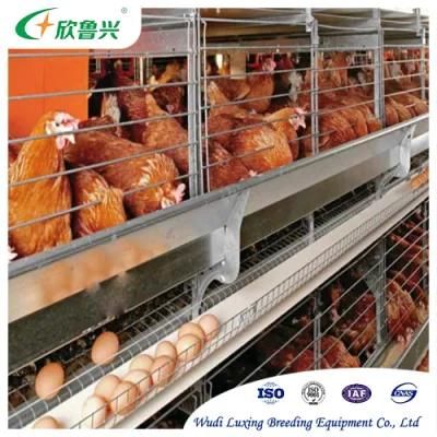 Large-Scale Automatic Farming and Animal Husbandry Equipment Battery Farming Layer Cages for Poultry Raising