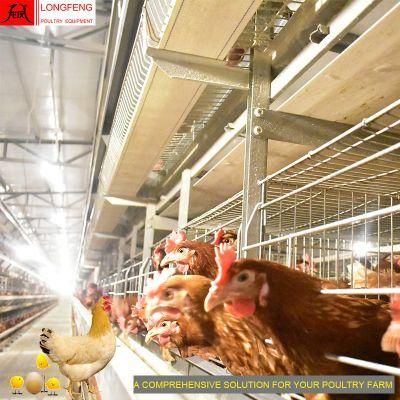 Longfeng Professional Large Scale Automatic Layer Hens Cages Poultry Farm Equipment