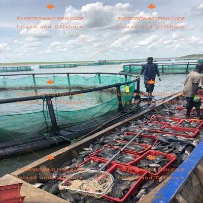HDPE Floating Fish Farming Aquaculture Cage