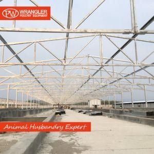 Economical Steel Structure Poultry for Chicken House