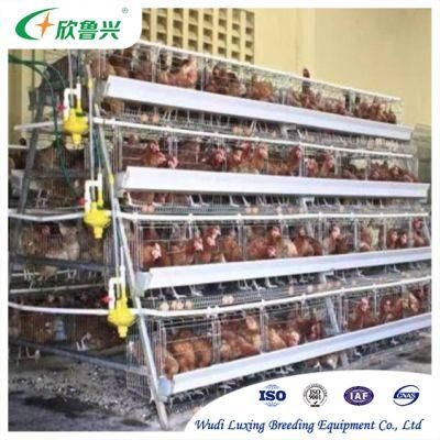 March Special Offer a Type 96 or 128 Capacity Automatic Layer Battery Chicken Cage for Sale