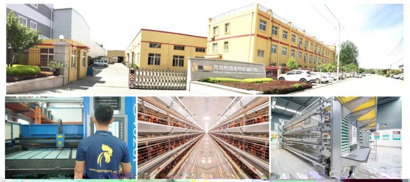 Automatic broiler chicken farm poultry equipment
